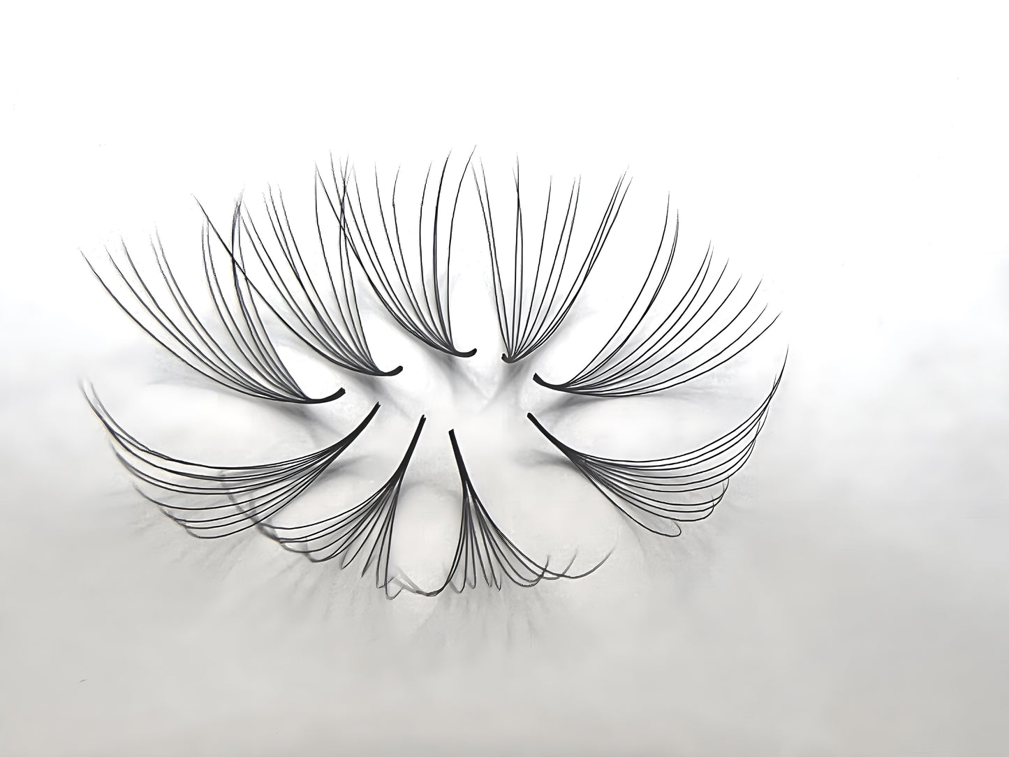 10D Promade Lashes 2000pcs