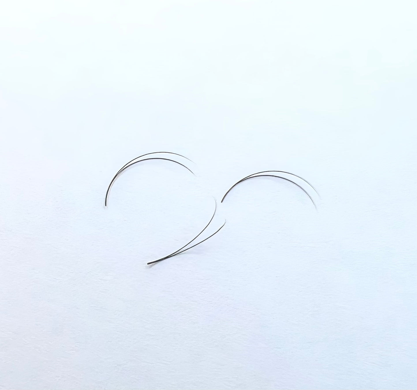 2D Pre-made Lashes 2000pcs